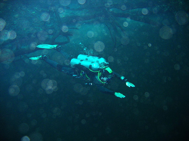 Cenote Angelita diving
