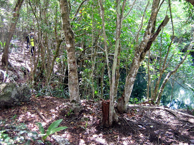 Cenote Angelita and surroundings