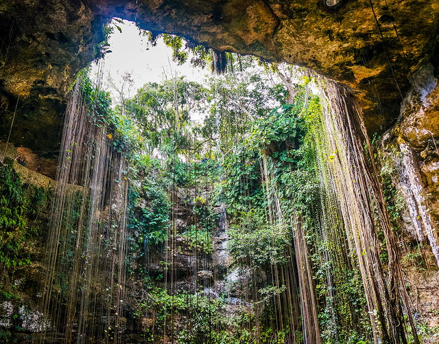 Cenote Ik-Kil up view