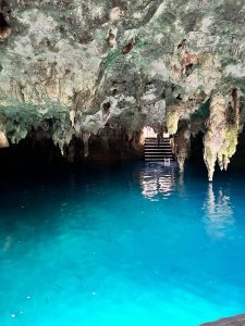 Cenote La Noria – Cenotes Of Mexico