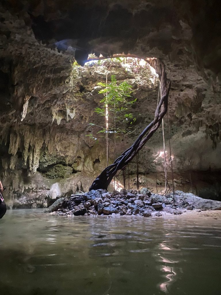 Sac Actun Cenote