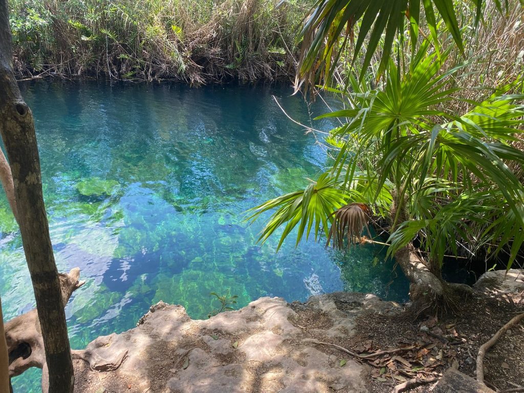 Escondido Cenote