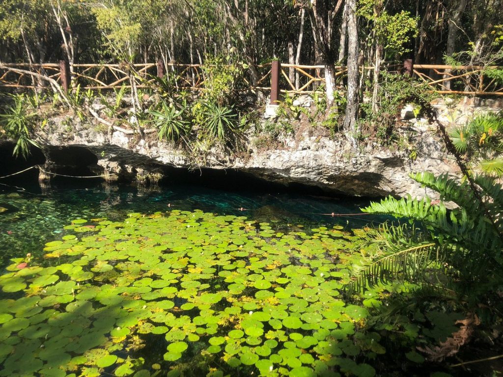 nicte-ha cenote